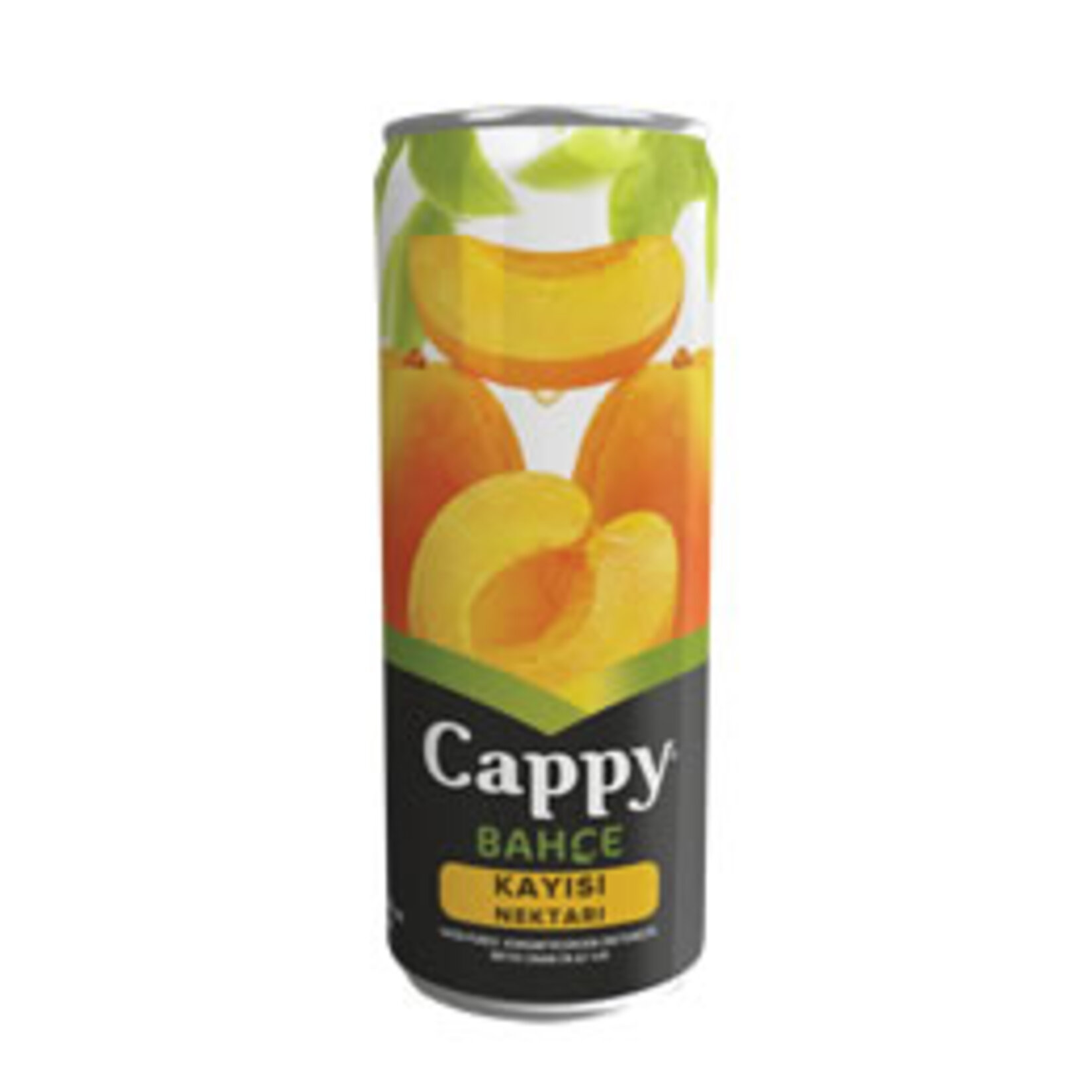 CAPPY KAYISI
